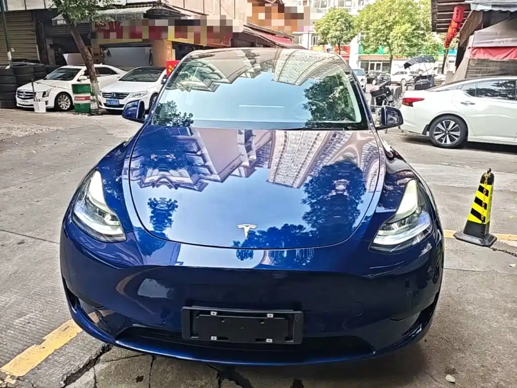 Tesla Model Y — миниатюра 3