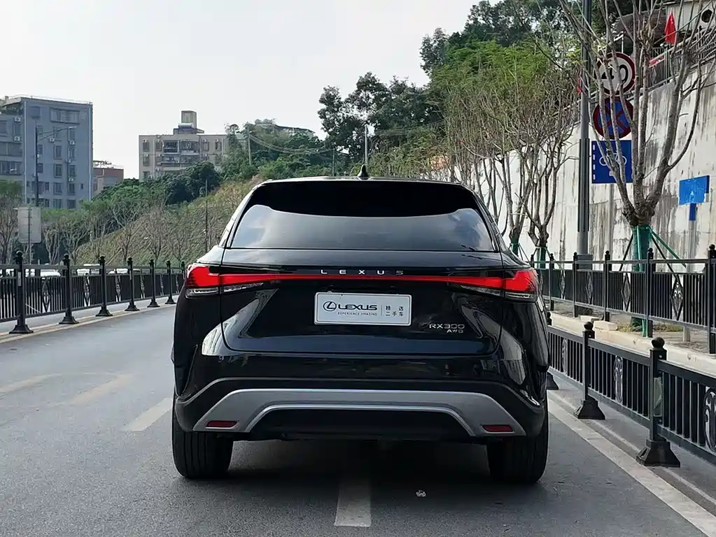 Lexus RX — миниатюра 13