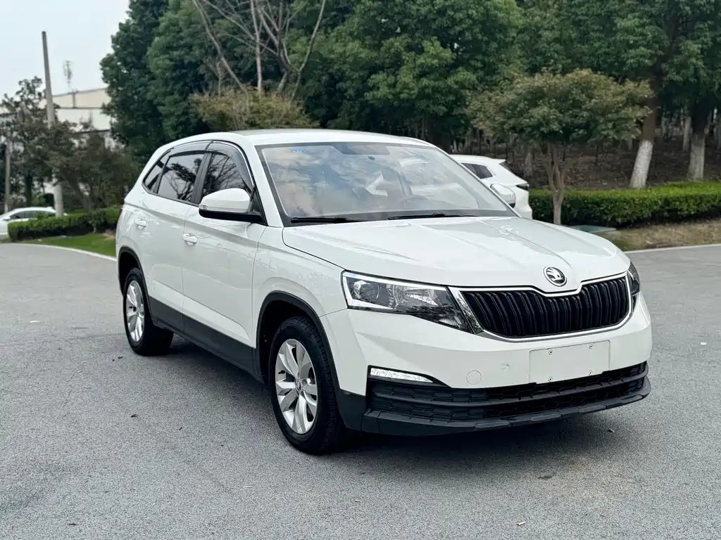 Skoda Kamiq — миниатюра 3