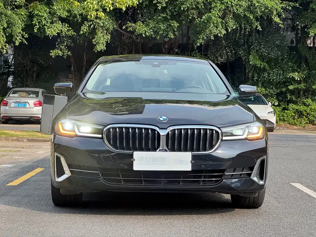 BMW 5 Series — миниатюра 2