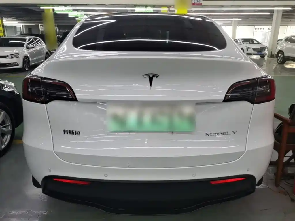 Tesla Model Y — миниатюра 6