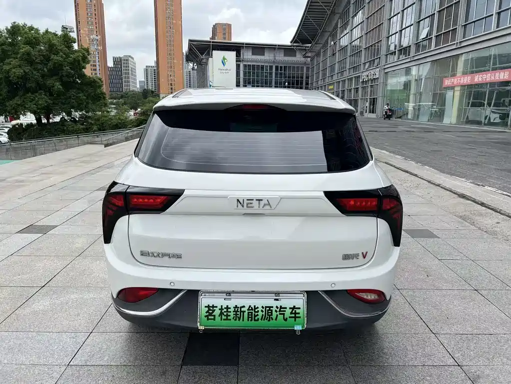 Neta Neta V — миниатюра 6