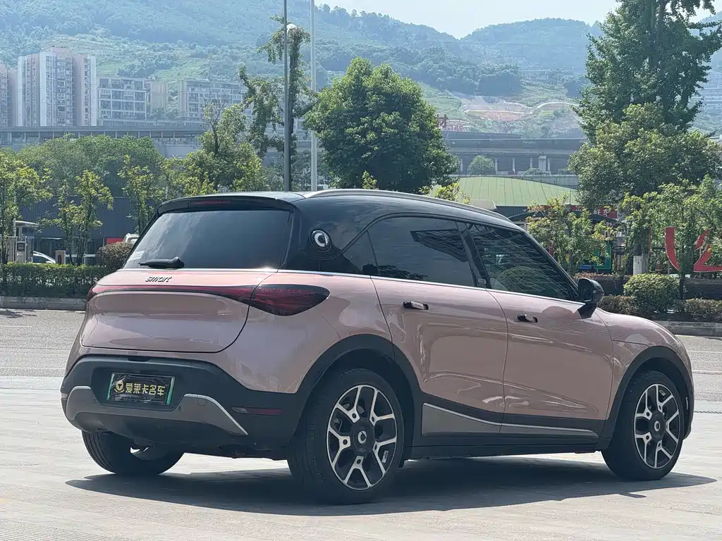 smart Smart #1 — миниатюра 6