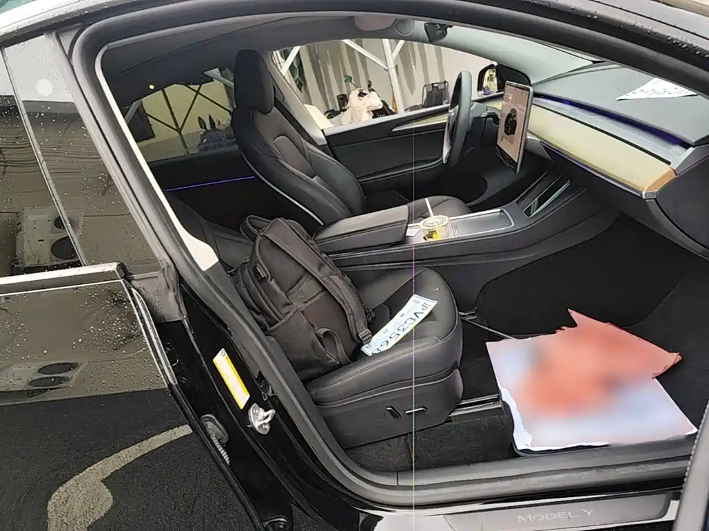 Tesla Model Y — миниатюра 25