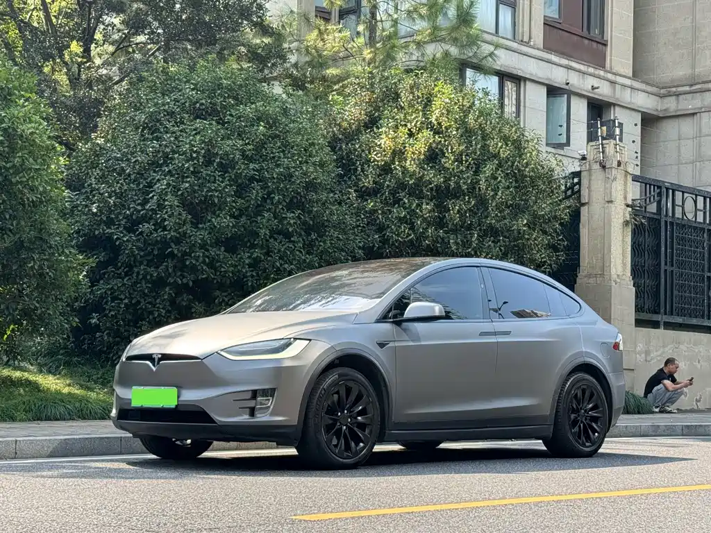 Tesla Model X — миниатюра 3