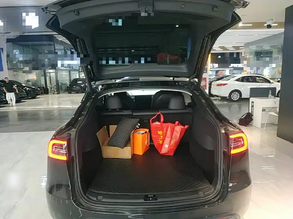 Tesla Model Y — миниатюра 19