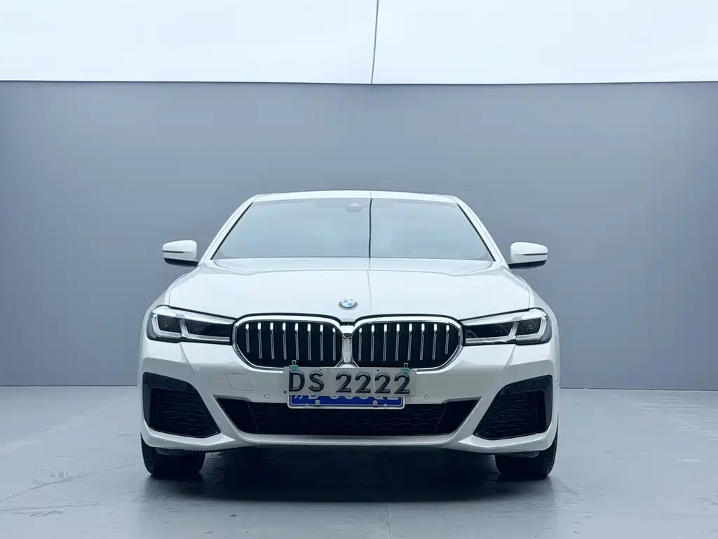BMW 5 Series — миниатюра 2