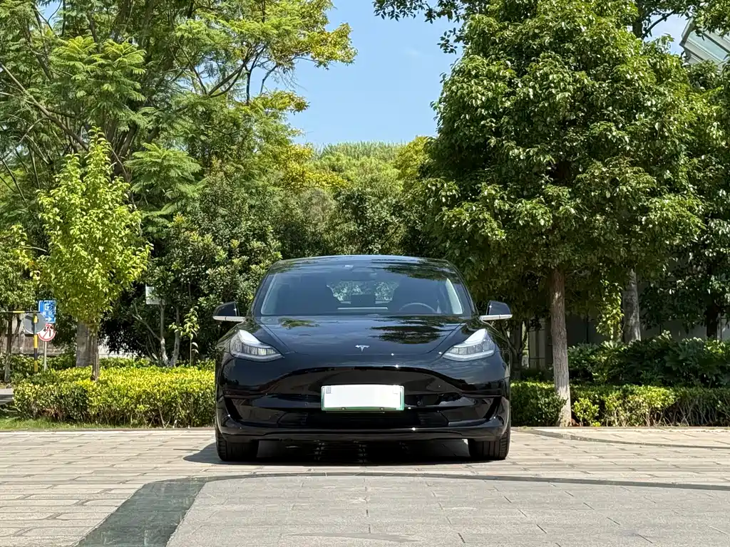 Tesla Model 3 — миниатюра 2