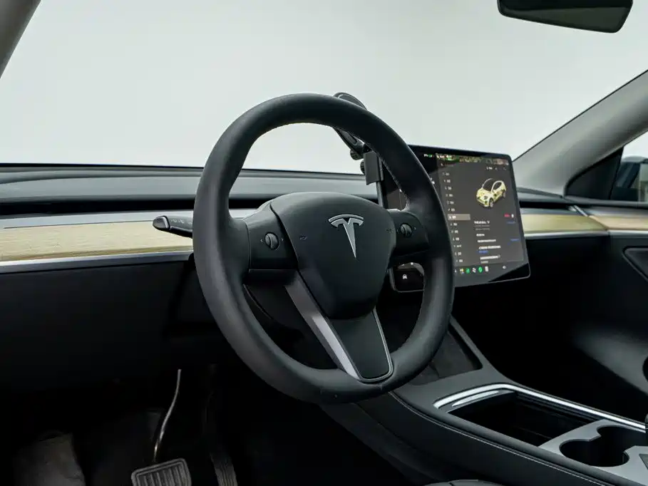 Tesla Model Y — миниатюра 10