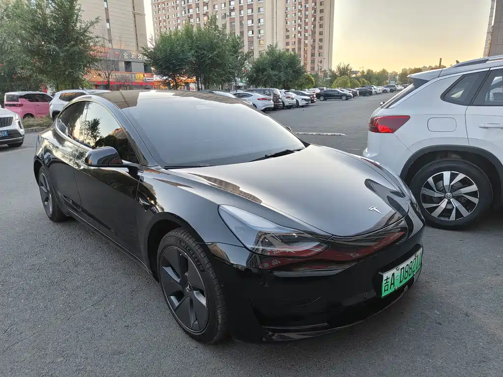 Tesla Model 3 — миниатюра 3