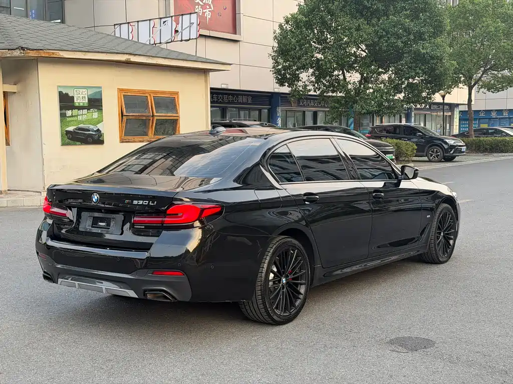 BMW 5 Series — миниатюра 6