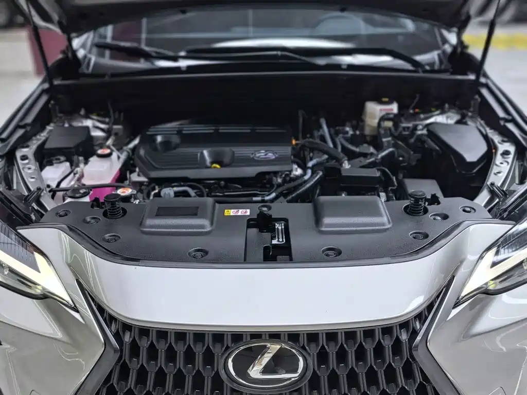 Lexus NX — миниатюра 38