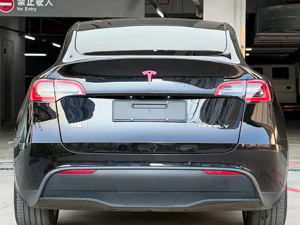 Tesla Model Y — миниатюра 5