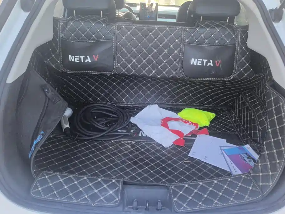Neta Neta V — миниатюра 4