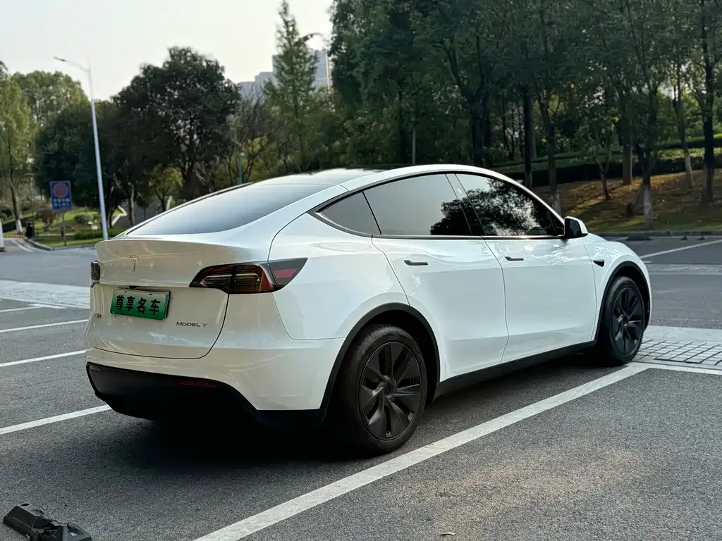 Tesla Model Y — миниатюра 5