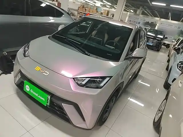 2024 BYD Seagull