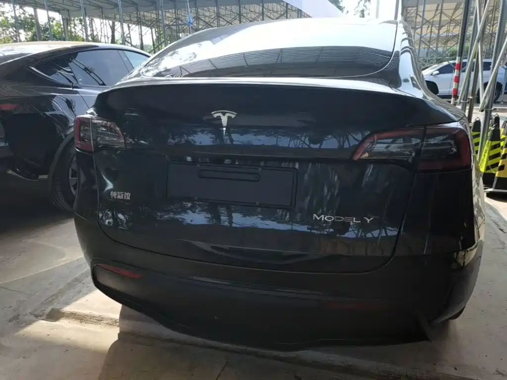 Tesla Model Y — миниатюра 6