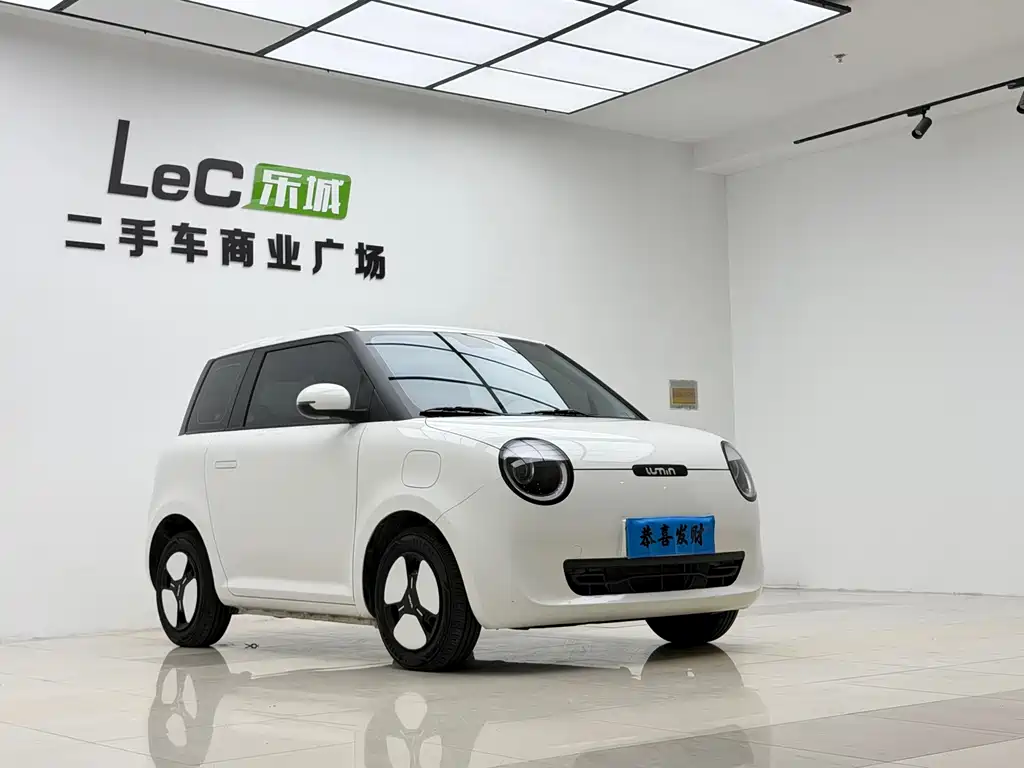 Qiyuan Lumin — миниатюра 3