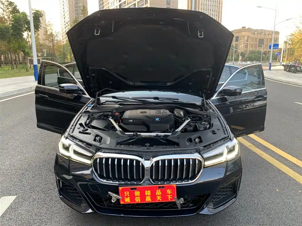 BMW 5 Series 5 2022 530Li Premium M Sport
