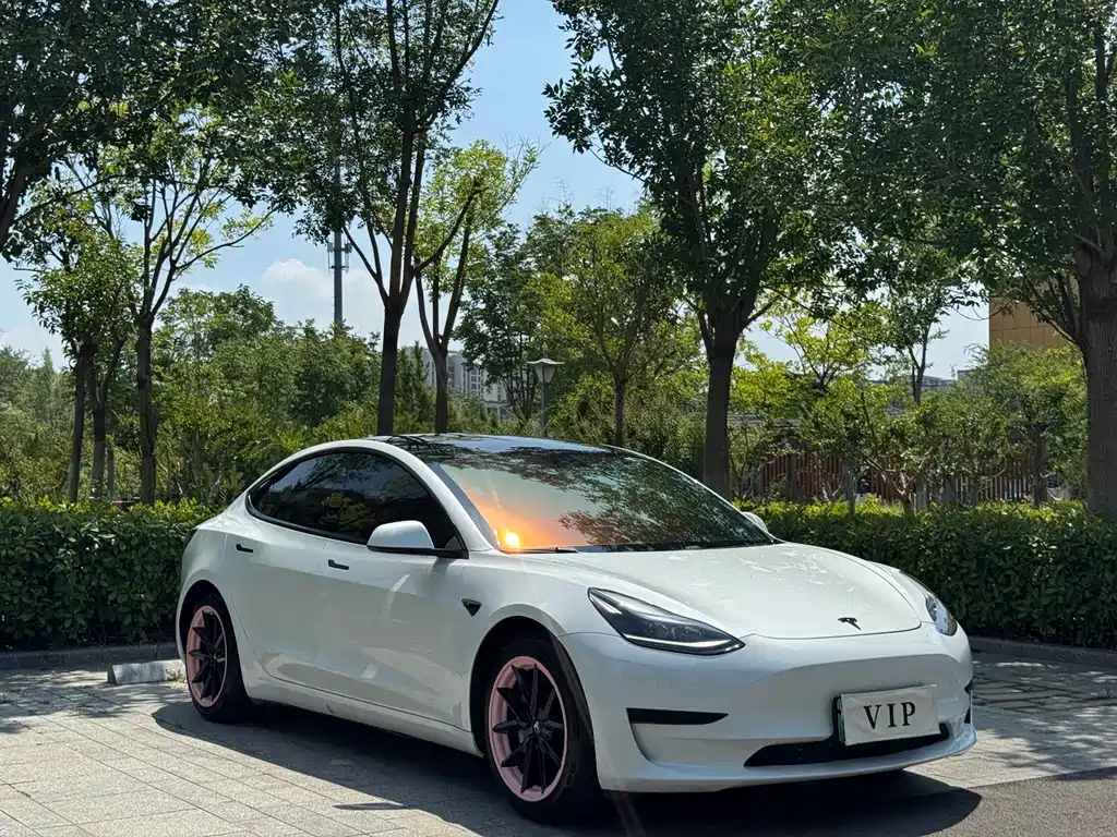 Tesla Model 3 — миниатюра 3