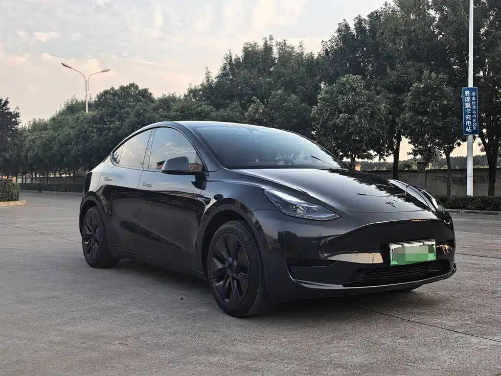 Tesla Model Y — миниатюра 3