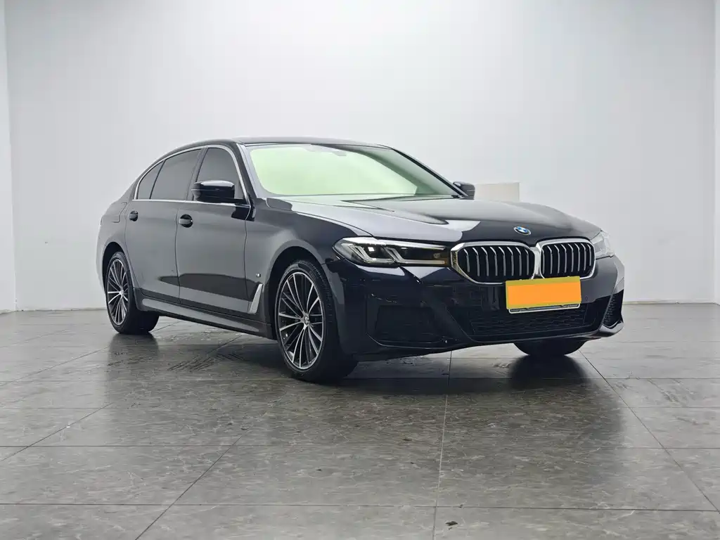 BMW 5 Series — миниатюра 2