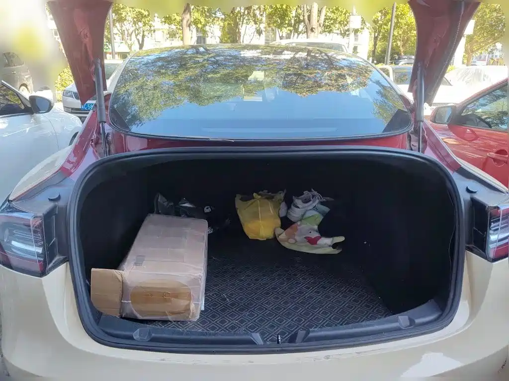 Tesla Model 3 — миниатюра 20