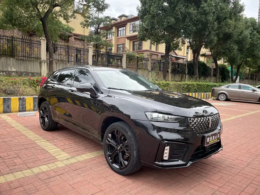 WEI PAI WEI BRAND VV7