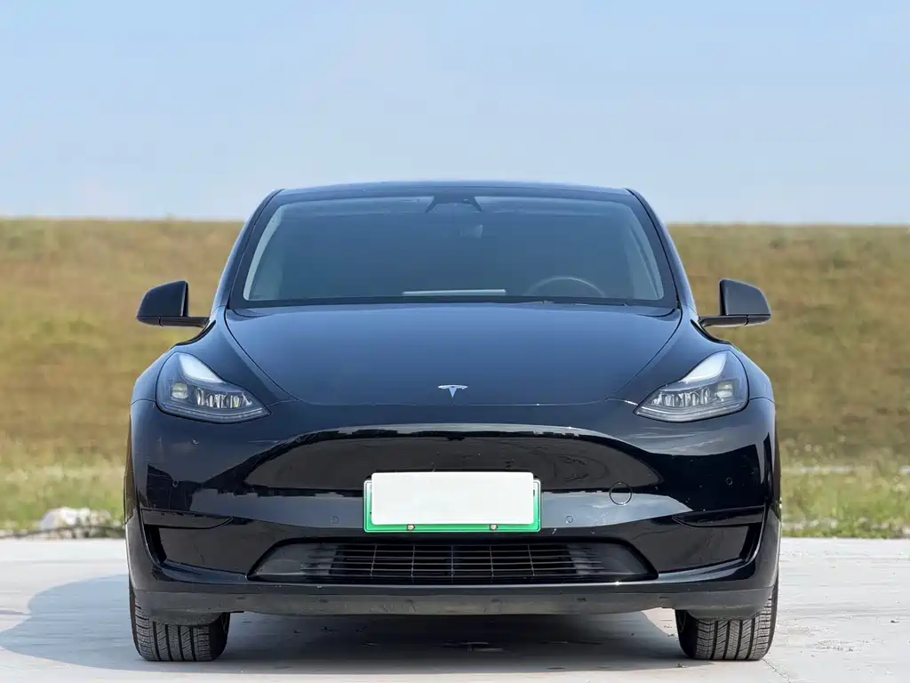 Tesla Model Y — миниатюра 2