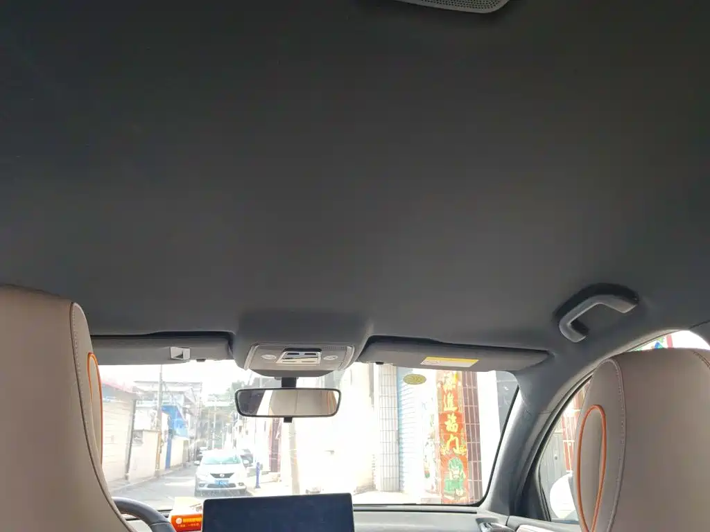 BYD Pro New Energy — миниатюра 19