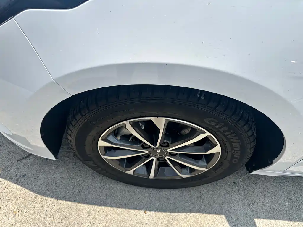 BYD Destroyer 05 2023 Champion DM-i 55KM Luxury