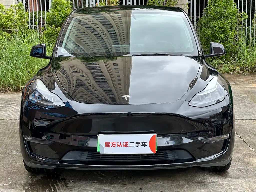 Tesla Model Y — миниатюра 2
