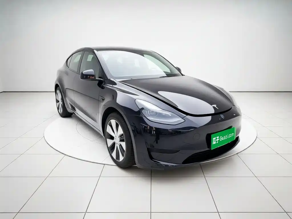 Tesla Model Y — миниатюра 3