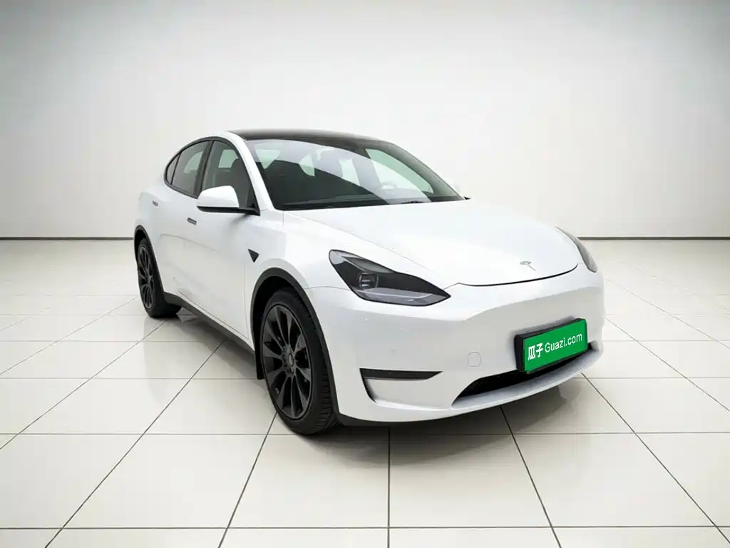 Tesla Model Y — миниатюра 3