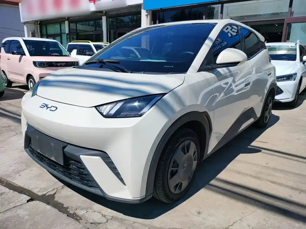 BYD Seagull 2024 305km
