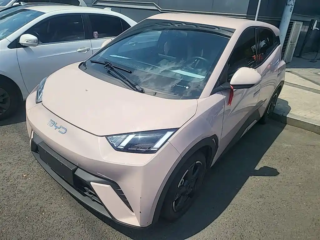 Byd Seagull 2024