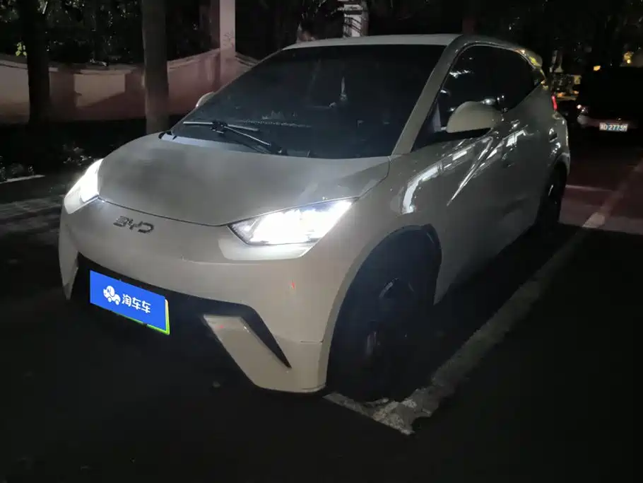 BYD Seagull