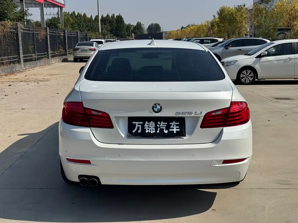 BMW 5 Series — миниатюра 5