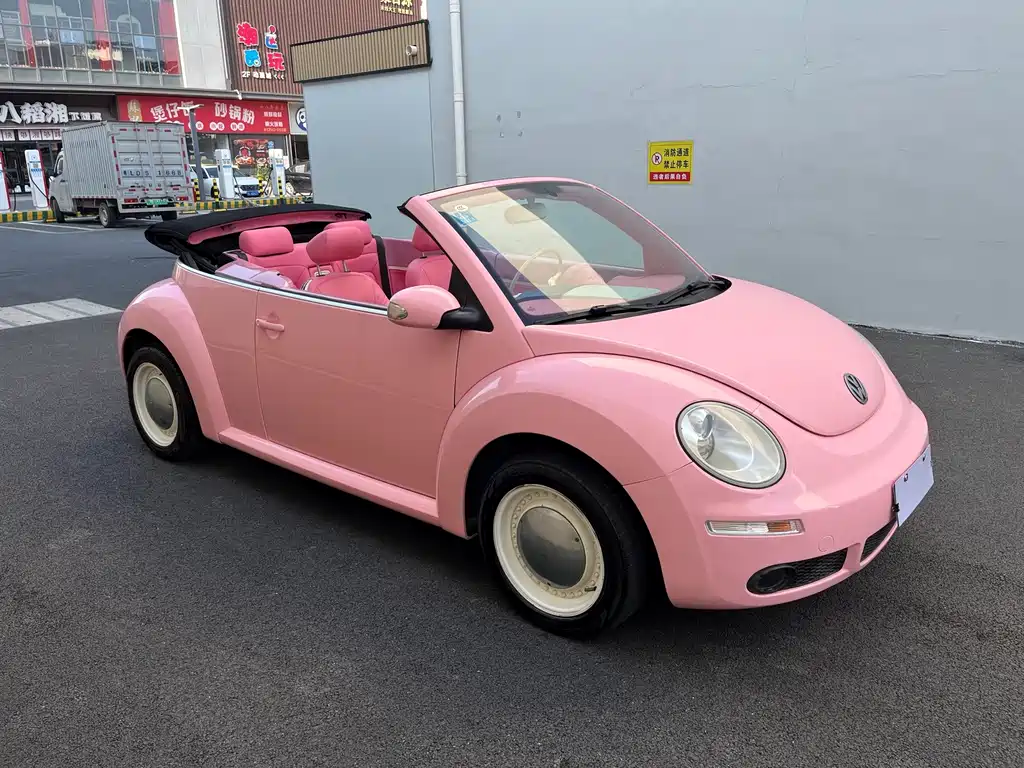 Volkswagen Beetle — миниатюра 12