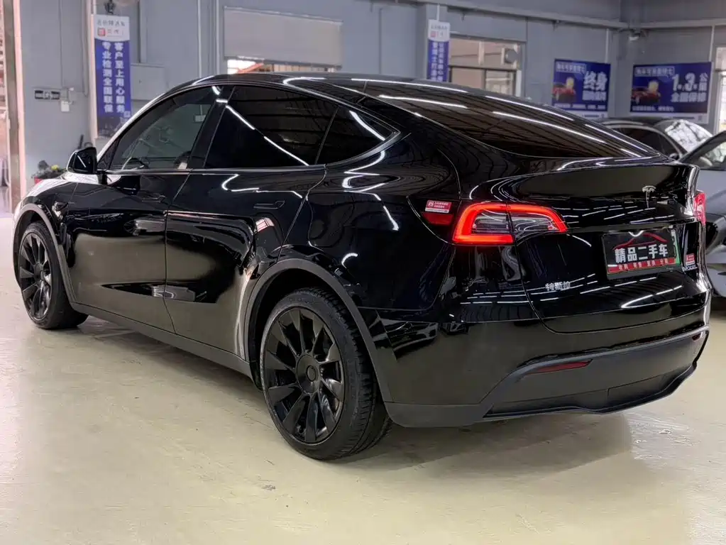 Tesla Model Y — миниатюра 8