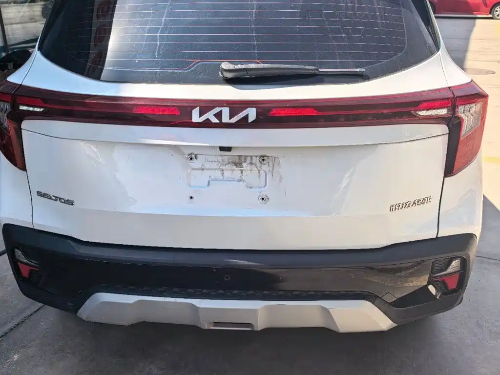 Kia Seltos — миниатюра 8