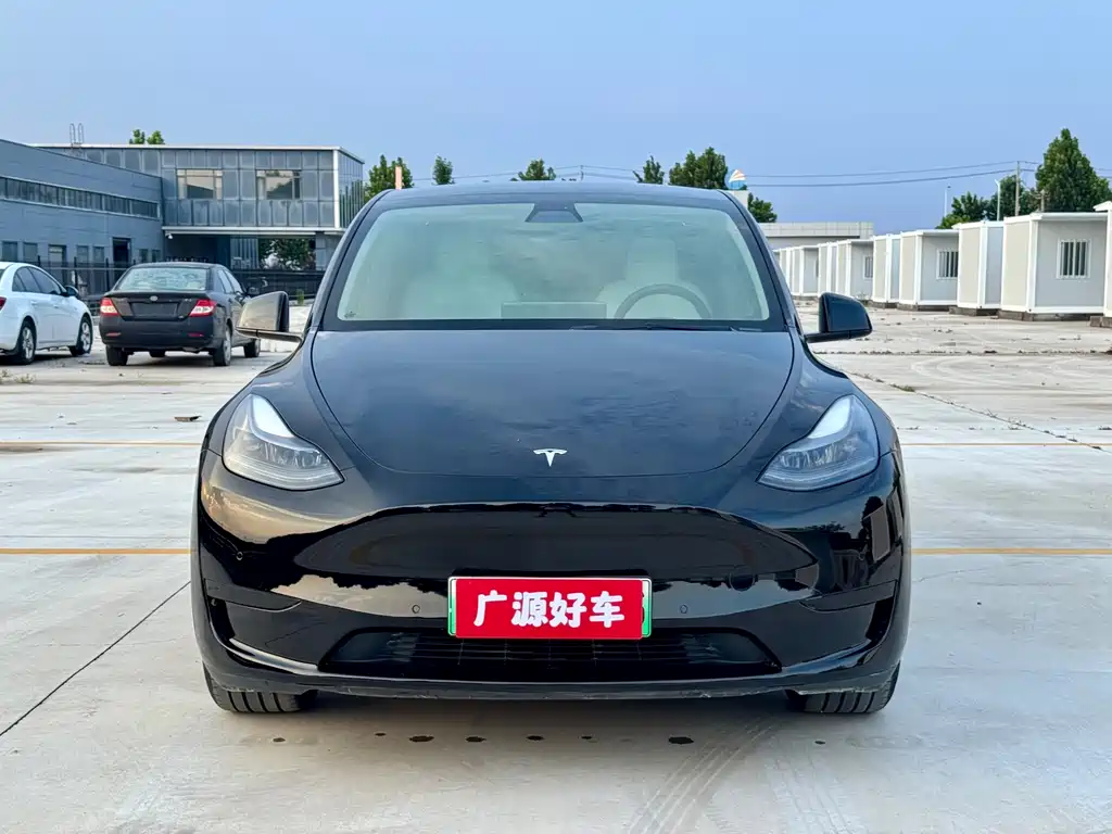 Tesla Model Y — миниатюра 3