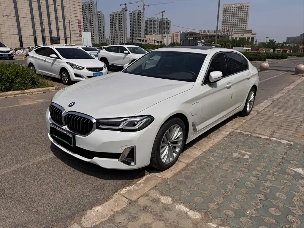 BMW 5 Series New Energy 2021