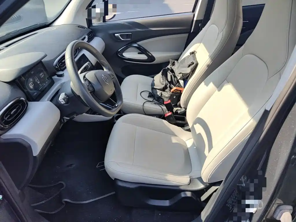 Leapmotor T03 2023 310