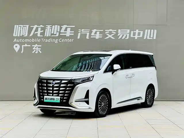 2023 Denza D9