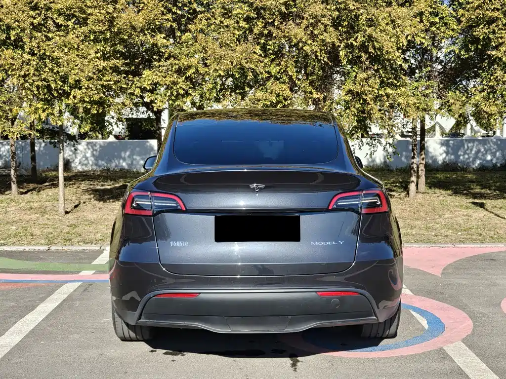 Tesla Model Y — миниатюра 5