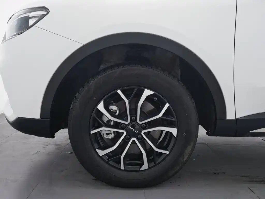 Haval H6 — миниатюра 17