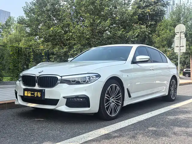 2019 BMW 5er