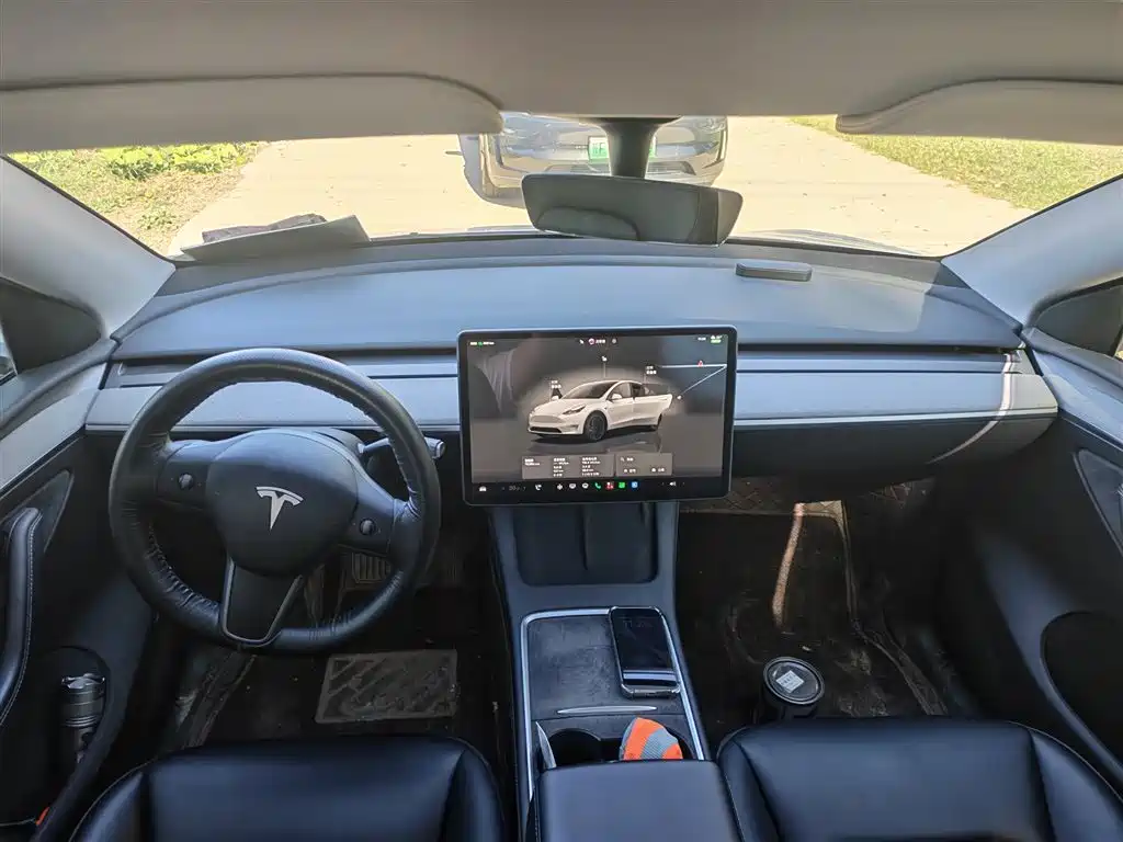 Tesla Model Y — миниатюра 6