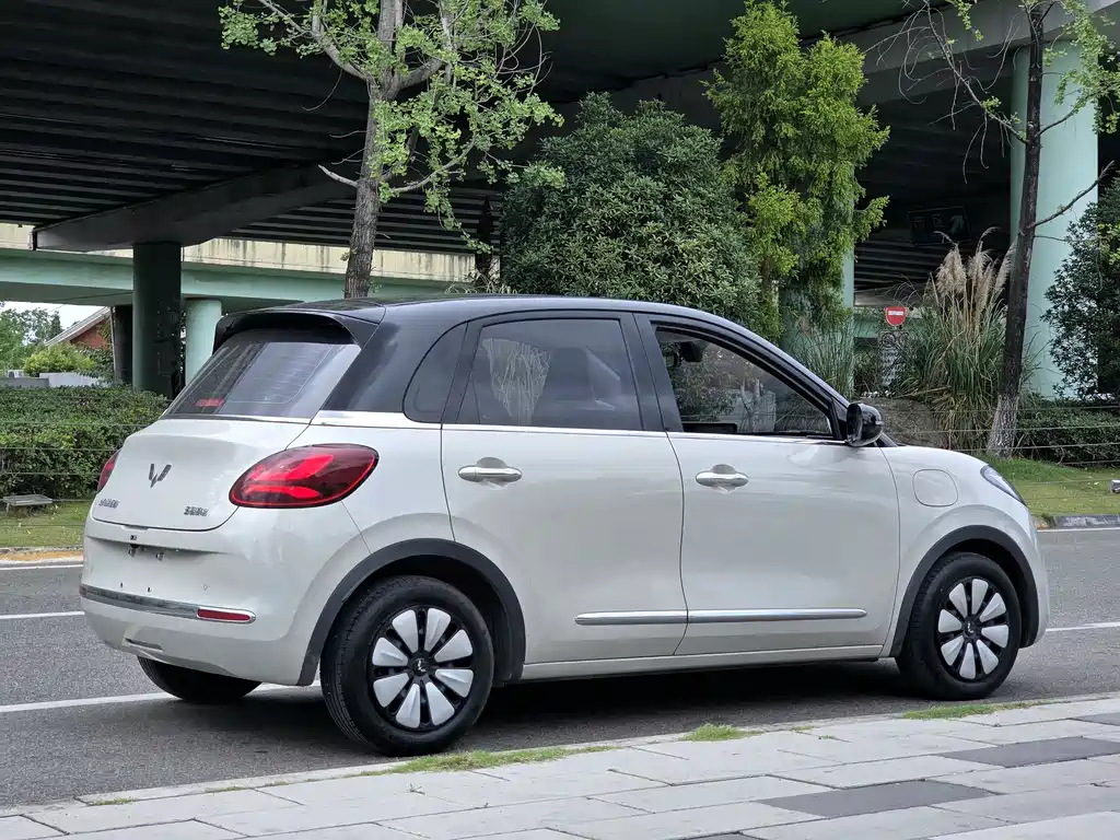 Wuling Binguo 2024 333km Enjoy